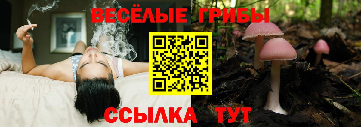 Галлюциногенные грибы MAGIC MUSHROOMS Казань